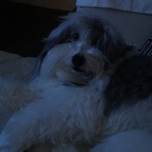 Meet your Posher, Rick